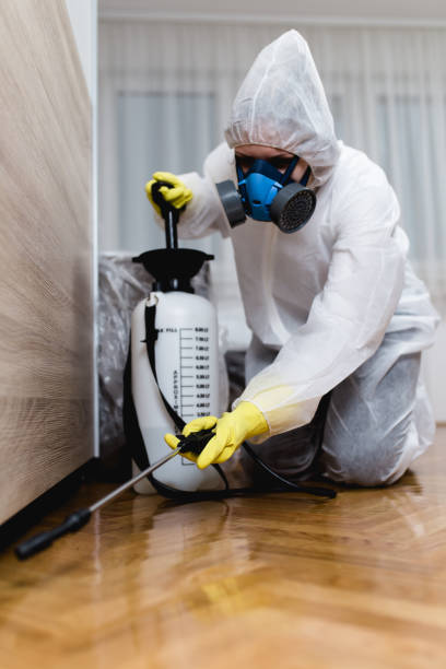 Best Pest Prevention Services  in Corrigan, TX